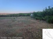 Kalyves Kreta, Kalyves Strandgrundstück 8662m² zu verkaufen  Grundstück kaufen